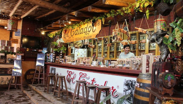 Tour en buggy por el desierto de Huacachina - Foto 2