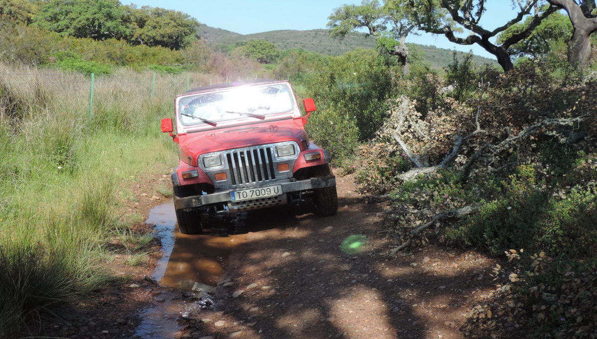 Tour en 4x4 por la Sierra de San Pedro - Photo 1