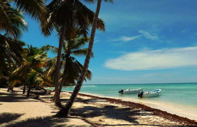 Saona Island Boat Trip - Foto 4