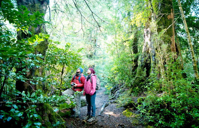 Puerto Blest & Cantaros Waterfall Day Trip - Photo 3