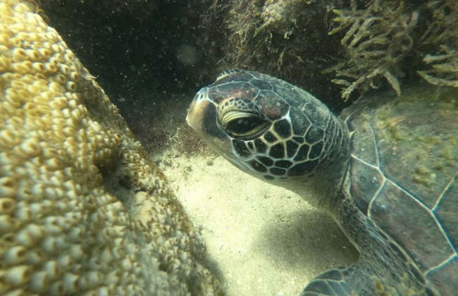 Snorkeling alla spiaggia di Sepultura - Foto 9