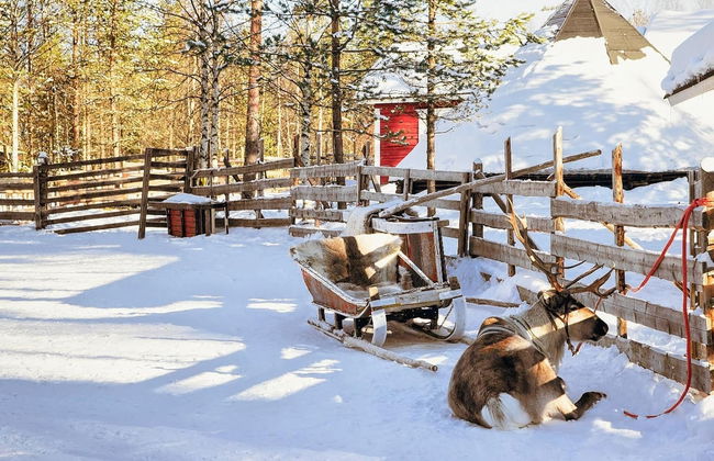 Reindeer Sleigh Ride - Photo 4