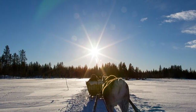 Reindeer Sleigh Ride - Photo 1