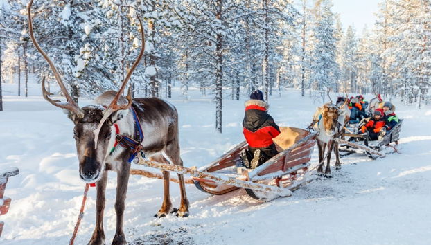 Reindeer Sleigh Ride - Photo 5