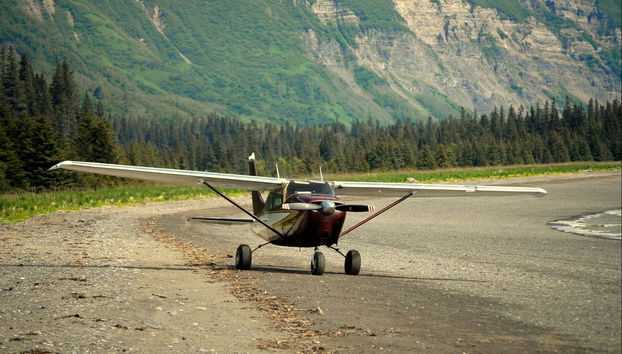 Avistamiento de osos grizzly - Foto 2