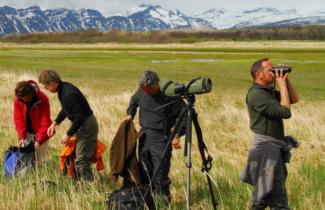 Avistamiento de osos grizzly - Foto 5