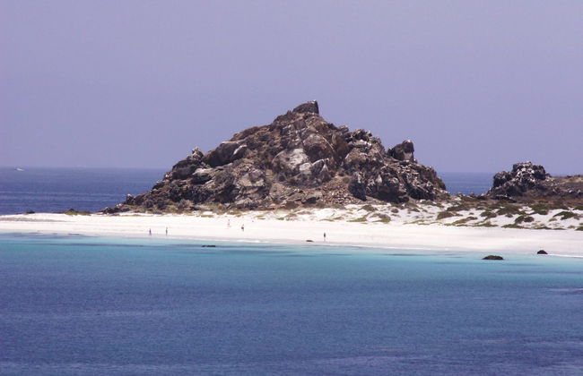 Damas Island Day Trip - Photo 5