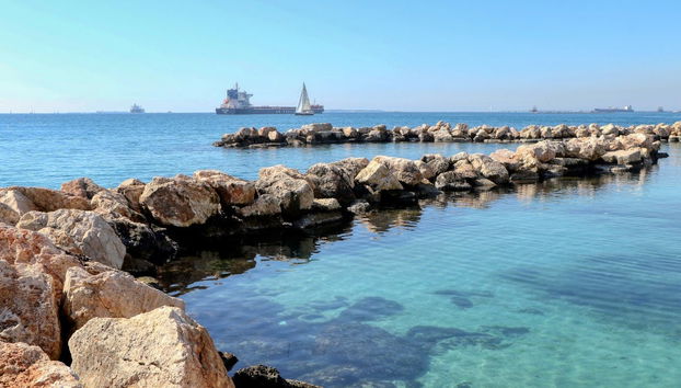 Avistamiento de cetáceos en el golfo de Tarento - Foto 5