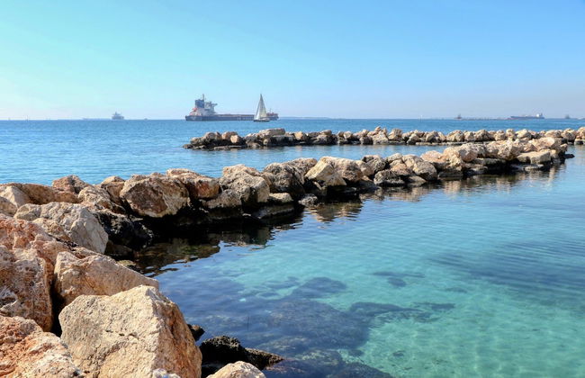 Gulf of Taranto Dolphin & Whale Watching - Photo 5