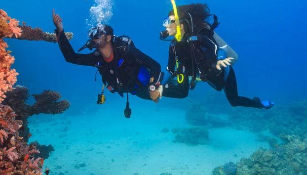 Bautismo de buceo en Nilaveli - Foto 5
