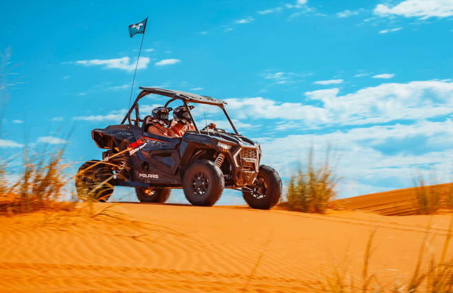 Tour en buggy por las dunas de Sand Mountain - Foto 2