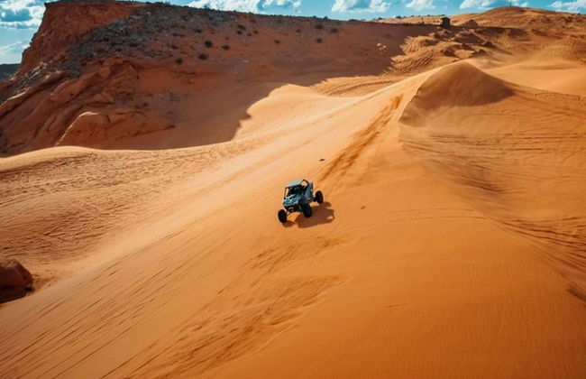 Tour en buggy por las dunas de Sand Mountain - Foto 3