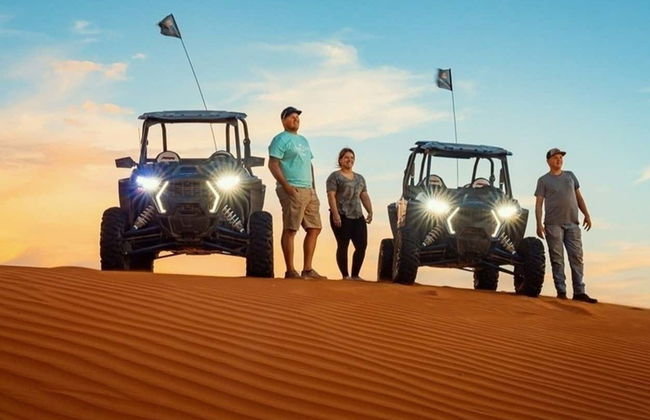 Tour en buggy por las dunas de Sand Mountain - Foto 5