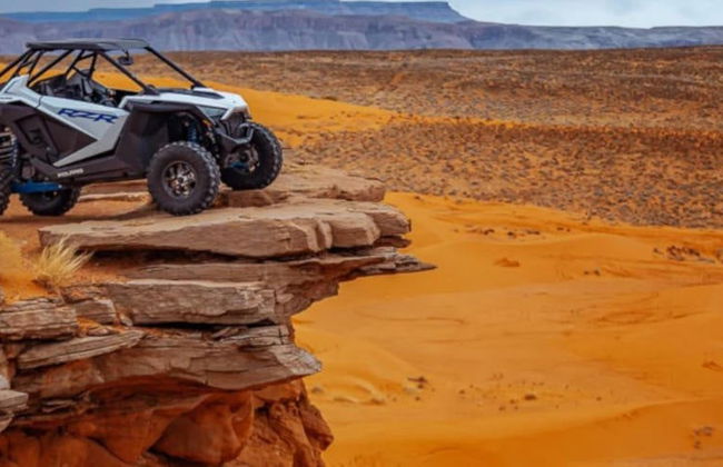 Tour en buggy por las dunas de Sand Mountain - Foto 8