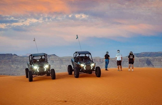 Tour en buggy por las dunas de Sand Mountain - Foto 7