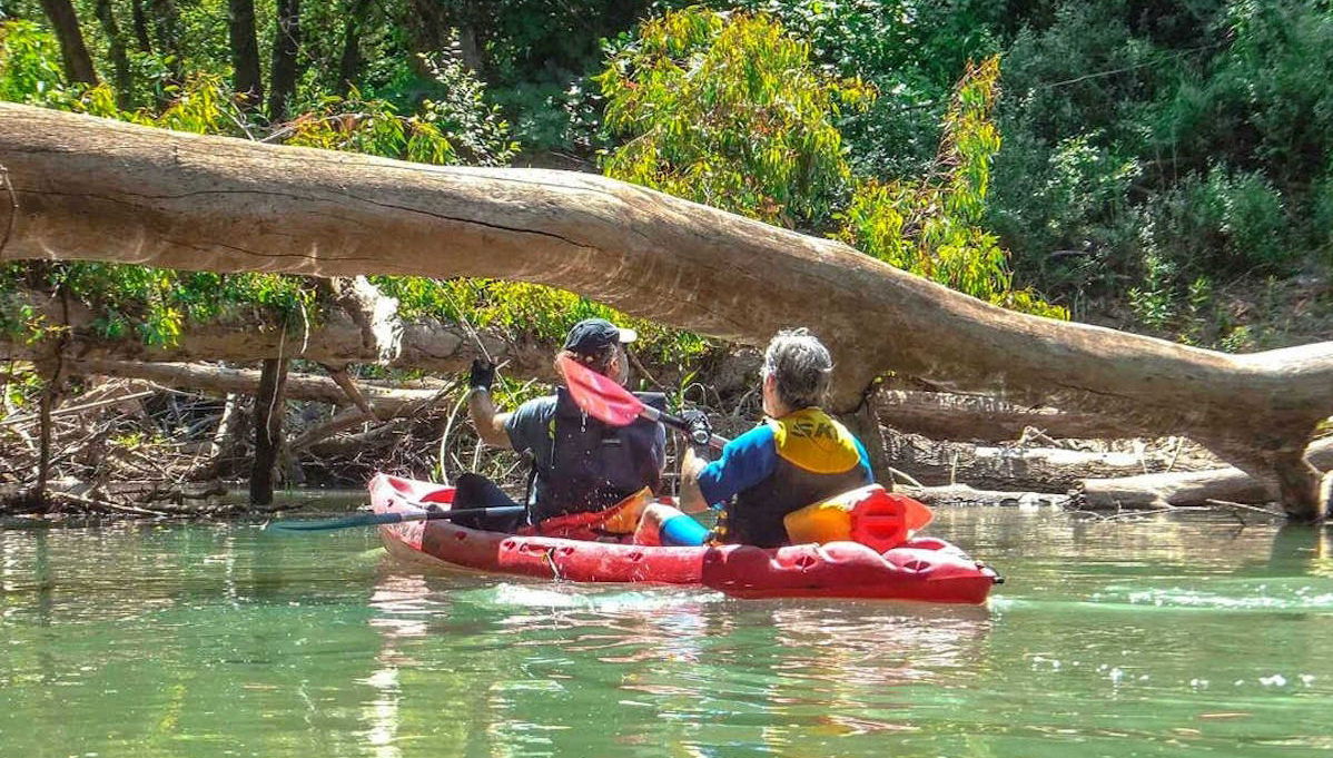 Tour del fiume Guadiaro in kayak - Foto 1