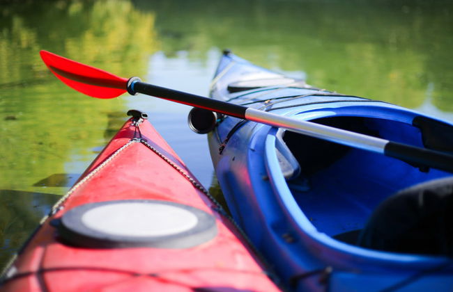 Tour en kayak por el río Guadiaro - Foto 1