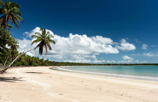 Morro de Sao Paulo Private Boat Trip - Photo 5