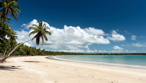 Balade en bateau privé à Morro de Sao Paulo - Photo 5