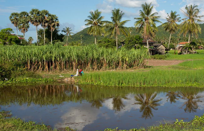 Battambang Tuk Tuk Tour - Photo 1