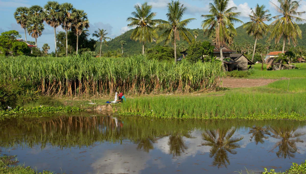 Tour en tuk tuk por Battambang - Foto 1