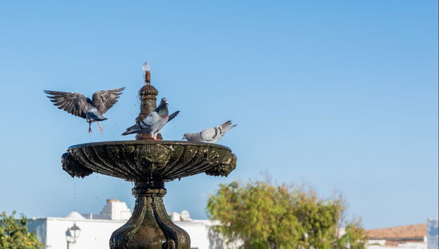 Free tour por Teguise - Foto 5