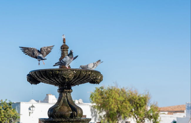 Tour privado por Teguise - Foto 4