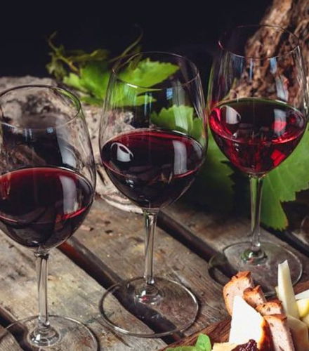 Foto de Visita a las bodegas Monje