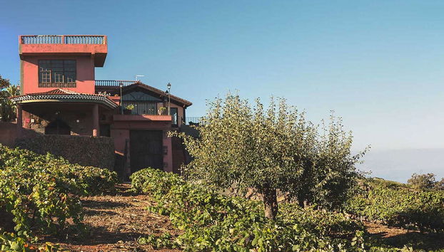 Visita a las bodegas Monje - Foto 4