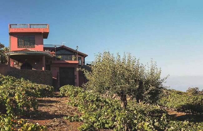 Monje Winery Guided Tour & Wine Tasting - Foto 4