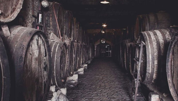 Visita a las bodegas Monje - Foto 3