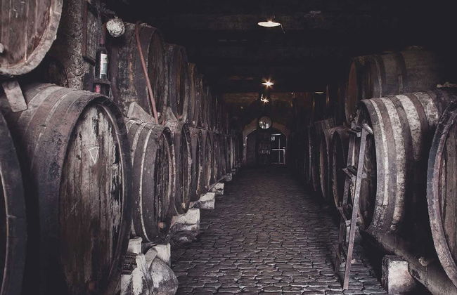 Monje Winery Guided Tour & Wine Tasting - Foto 3