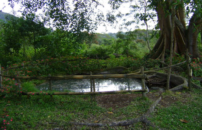 Trilha privada pela cascata Aguas Calientes - Foto 4