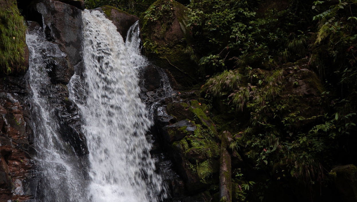 Aguas Calientes Waterfall Private Hiking Tour