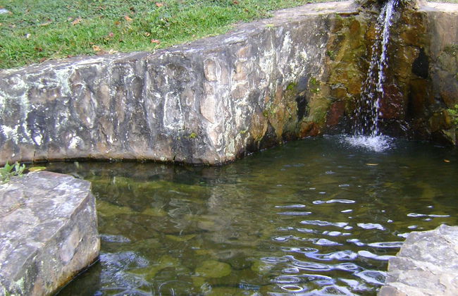 Trilha privada pela cascata Aguas Calientes - Foto 5
