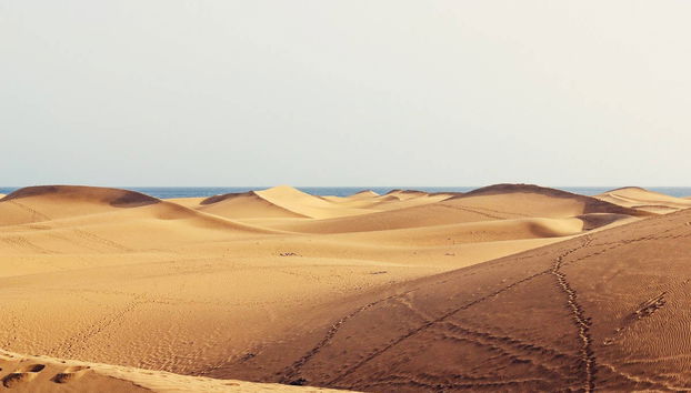 Maspalomas Segway Tour - Foto 3