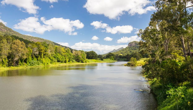 Paseo en barco con avistamiento de aves - Foto 3