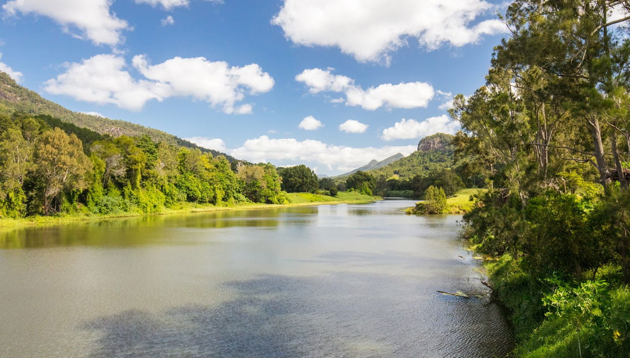 Paseo en barco con avistamiento de aves - Foto 1