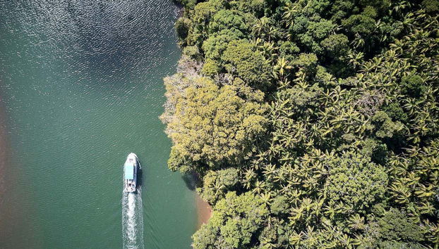 Paseo en barco con avistamiento de aves - Foto 4