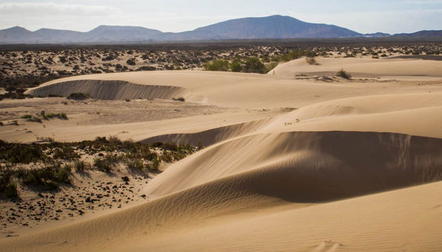 Tour en buggy por Fuerteventura - Foto 3