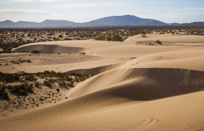 Fuerteventura Buggy Tour - Foto 2