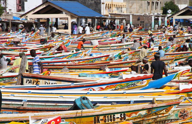 Visita guiada privada por Dakar - Foto 3