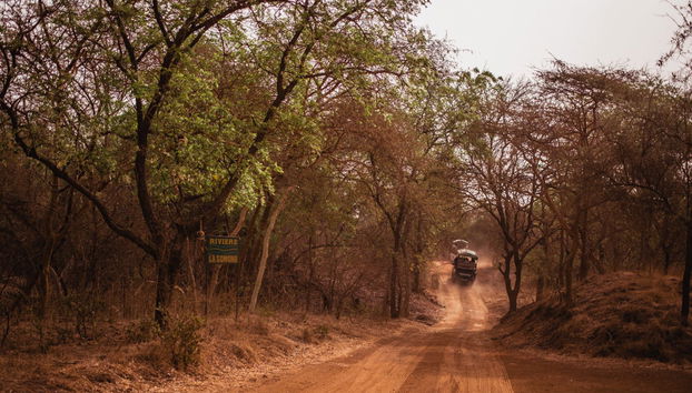Excursión privada a la Reserva de Bandia y Lago Rosa - Foto 2