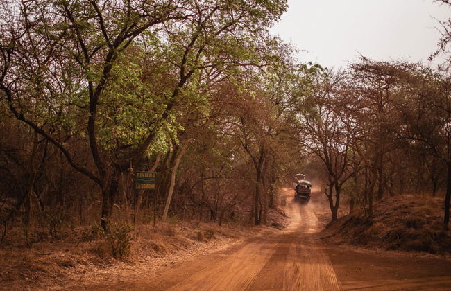 Excursión privada a la Reserva de Bandia - Foto 1