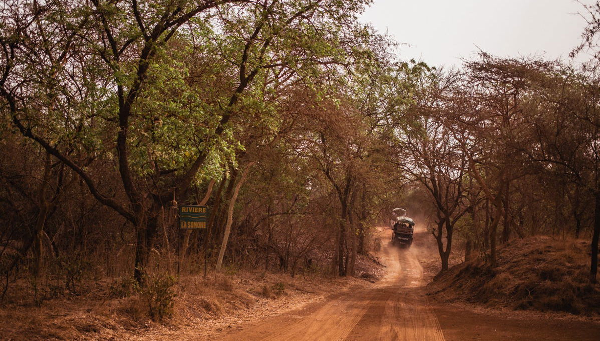 Excursión privada a la Reserva de Bandia - Foto 1