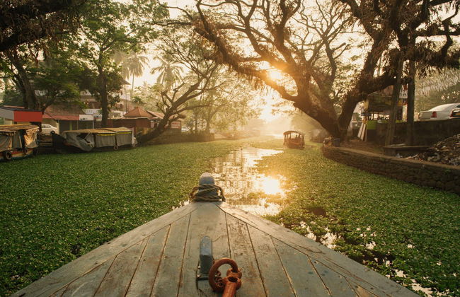 Tour por los canales de Alleppey - Foto 2