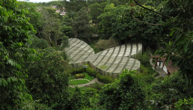 Botanical Garden of Quindío Visit - Foto 4