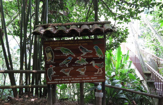 Excursión al Jardín Botánico del Quindío - Foto 3