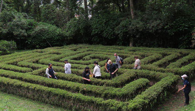 Escursione al Giardino Botanico del Quindío - Foto 3