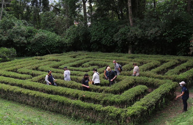Excursión al Jardín Botánico del Quindío - Foto 3